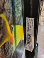 Лот: 24001269. Фото: 3. Стеклопакеты. Строительство и ремонт