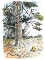 Лот: 10695440. Фото: 3. Винни-Пух и все-все-все Новое!. Литература, книги