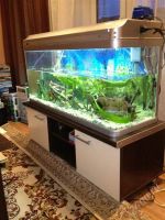 Лот: 1753720. Фото: 2. Продам аквариум с тумбой 1,25м... Аквариумистика