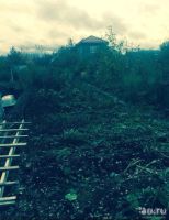 Лот: 13376513. Фото: 4. Дача. Красноярск