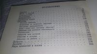 Лот: 13511398. Фото: 4. ок...Вучков Юлиан, Искусство жить... Красноярск