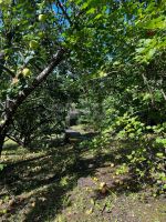 Лот: 25636933. Фото: 7. 2-комн. дача , СТ Сплавщик Магистральная...