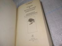 Лот: 25850424. Фото: 2. ВбЮ(5092301)Даревский И. Орлов... Наука и техника