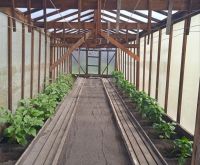 Лот: 25605496. Фото: 14. 3-комн. дача , СНТ Мана СНТ Мана...