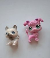 Лот: 7441976. Фото: 6. Littlest Pet Shop Петшоп 3600