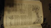 Лот: 20274526. Фото: 2. книга автомобили руководство по... Наука и техника