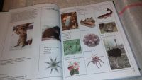 Лот: 7445704. Фото: 3. Большая серия знаний (к-кт из... Литература, книги