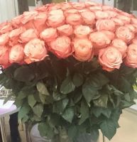 Лот: 10743320. Фото: 6. Розы огромные / Эквадор