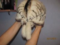 Лот: 3435989. Фото: 3. Шапка, Норковая. Одежда, обувь, галантерея