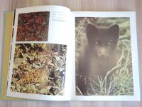 Лот: 22182686. Фото: 3. книга альбом лесопарки природные... Литература, книги