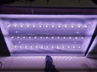 Лот: 19839635. Фото: 7. RSAG7.820.9663/ROH Doffler 55GUS86...