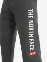 Лот: 23599818. Фото: 7. Брюки мужские The North Face Varsity...