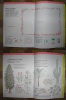 Лот: 23462. Фото: 2. Детская энциклопедия "Цветы и...