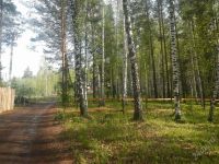 Лот: 2886956. Фото: 3. Продам участок 15 сот. (СНТ). Недвижимость