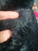 Лот: 20016698. Фото: 3. Альпака отрез ткани. Ручная работа