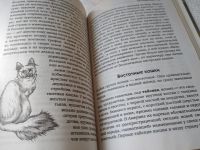 Лот: 18602181. Фото: 6. Oz. Филиппова Елена. С точки зрения...