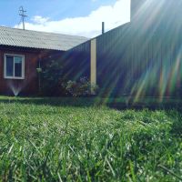 Лот: 7458145. Фото: 2. рулонный газон. Для дачи, дома, огорода, бани, парка