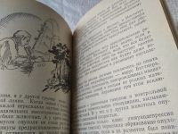 Лот: 4490802. Фото: 20. ок...О.Бароян, Блики на портрете...