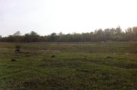 Лот: 11489101. Фото: 5. Продам земельные участки