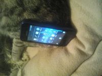 Лот: 1516831. Фото: 4. Соня st21i tipo