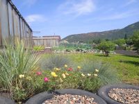 Лот: 25605496. Фото: 15. 3-комн. дача , СНТ Мана СНТ Мана...