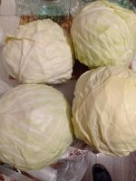 Лот: 16683539. Фото: 2. Капуста белокочанная из деревни... Продукты