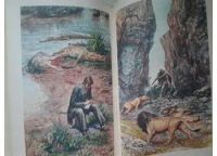 Лот: 5310327. Фото: 3. Жюль Верн, Необыкновенные путешествия... Красноярск