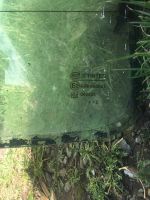 Лот: 16082885. Фото: 2. Заднее стекло волга 3102. Автозапчасти