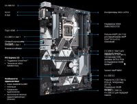 Лот: 16370139. Фото: 2. Материнская плата ASUS PRIME B365-PLUS. Комплектующие