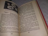 Лот: 9171942. Фото: 11. ок (22..01) Рената Бардина, Изделия...