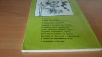 Лот: 9130574. Фото: 2. Черная смородина в Восточной Сибири... Дом, сад, досуг