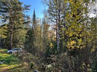 Лот: 25294598. Фото: 19. 1-комн. дача , садоводческое некоммерческое...