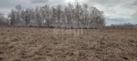 Лот: 25322269. Фото: 3. участок , посёлок Сухая Балка... Недвижимость