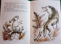 Лот: 19636680. Фото: 3. Мамин-Сибиряк Дмитрий | Сказка... Литература, книги