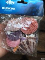 Лот: 15961106. Фото: 2. Настоящие Ракушки Украшения в... Аквариумистика