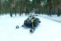 Лот: 25635993. Фото: 8. Снегоход РУССКАЯ МЕХАНИКА Tiksy...