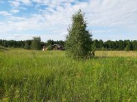 Лот: 15849687. Фото: 3. земельный участок. Недвижимость