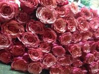 Лот: 10576883. Фото: 3. Букет РОЗА / эквадор. Сувениры, подарки