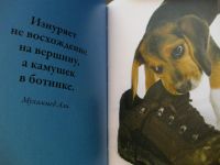 Лот: 25204264. Фото: 6. Подарочное издание, миниатюрная...
