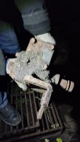 Лот: 25803191. Фото: 3. Рулевой редуктор неисправно. Авто, мото, водный транспорт