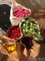 Лот: 13318496. Фото: 14. Крупные тюльпаны оптом. Прямая...