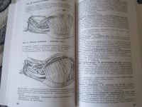 Лот: 5345892. Фото: 3. книгу по анатомии собак. Красноярск