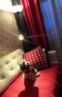 Лот: 6814639. Фото: 5. Торшер для чтения Нут ИКЕА, новый...