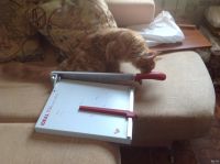 Лот: 17520938. Фото: 2. Сабельный резак. Оборудование