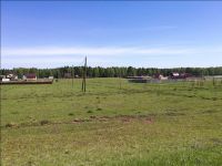 Лот: 9794646. Фото: 2. продам участок в д. Сухая ( 20соток... Продажа
