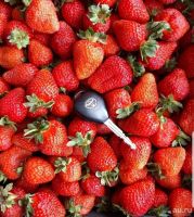 Лот: 9897365. Фото: 2. Виктория клубника оптом Красноярск. Продукты
