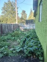 Лот: 25431441. Фото: 7. 1-комн. дача , СНТ Марс СНТ Марс...