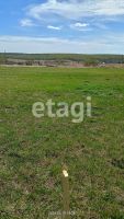 Лот: 25294635. Фото: 5. участок , деревня Погорелка деревня...