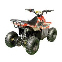 Лот: 25659204. Фото: 8. Квадроцикл MZ Grizzly 110