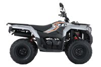 Лот: 25659222. Фото: 3. Квадроцикл LONCIN TRV350 Pro 22. Авто, мото, водный транспорт